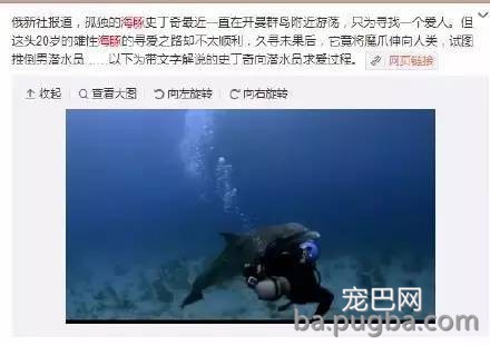 万万没想到，这5种呆萌可爱的动物竟然都是色魔！-18.jpeg
