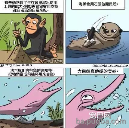 万万没想到，这5种呆萌可爱的动物竟然都是色魔！-19.jpeg