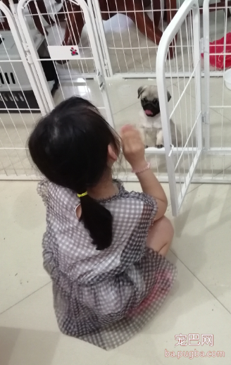 闺女很喜欢
