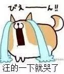 培根，你这么怂对得起你的血统吗？-1.jpeg