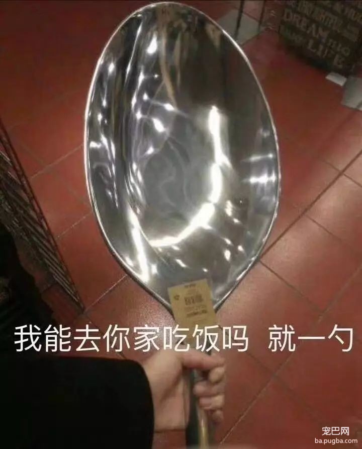 培根，你这么怂对得起你的血统吗？-27.jpeg