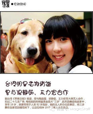 别再小看这些狗狗，它们有的10秒钟可要赚2万-6.png