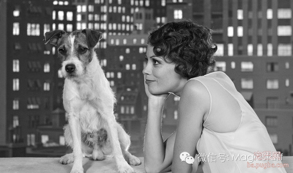 别再小看这些狗狗，它们有的10秒钟可要赚2万-8.png