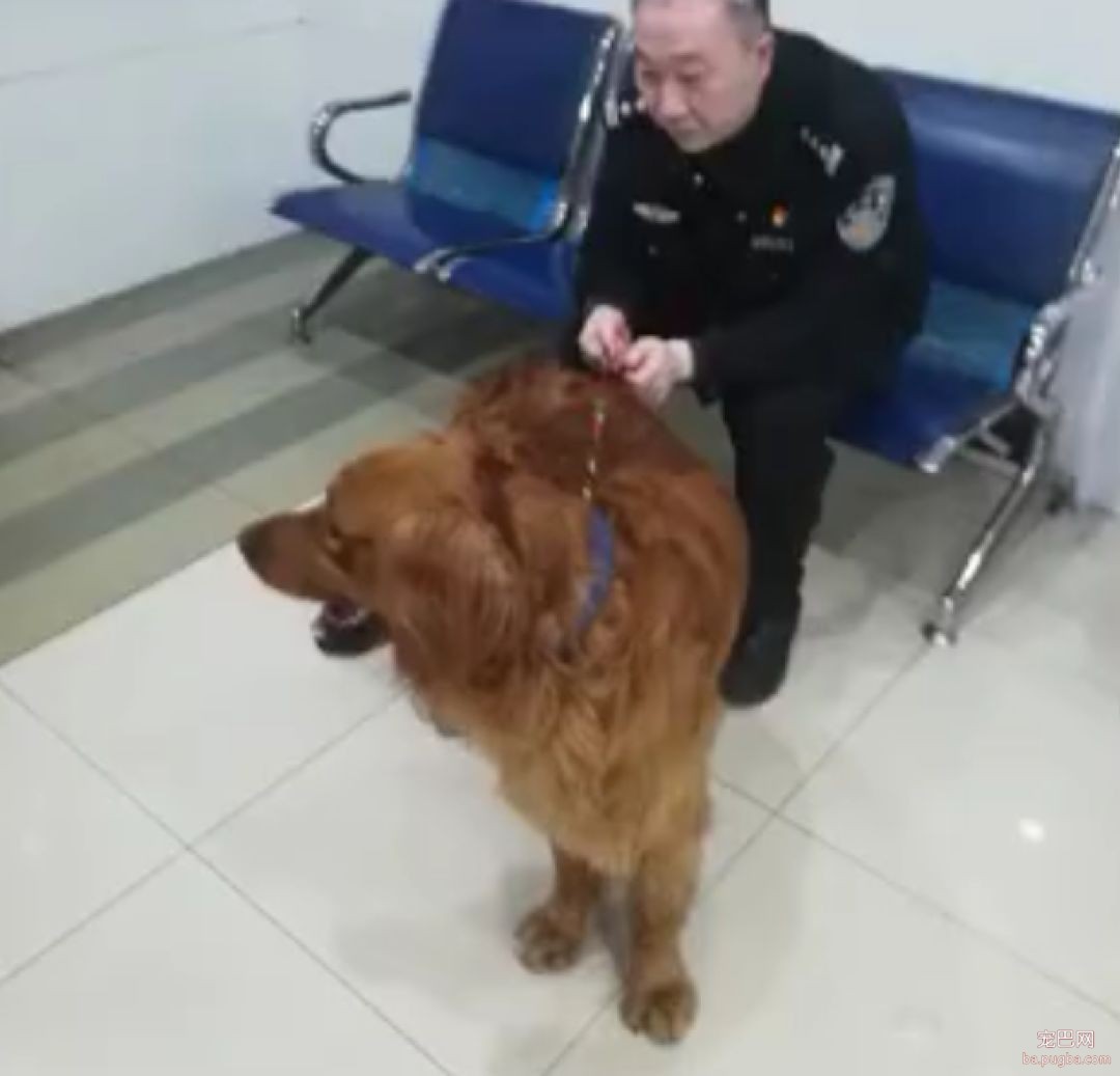 遛狗遇小女孩惊叫“我怕狗”，而妈妈的教育真的很让人惊艳！-6.jpeg