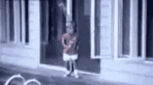狗狗和玻璃门的爱恨纠葛（是种多么痛的领悟！！-1.gif