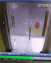 狗狗和玻璃门的爱恨纠葛（是种多么痛的领悟！！-7.gif