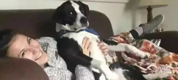 以为爱犬丧身大火，可两天后在废墟竟听到奇迹的”汪汪“声...-2.jpeg