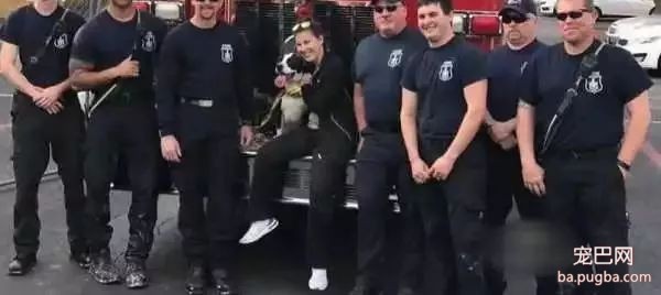 以为爱犬丧身大火，可两天后在废墟竟听到奇迹的”汪汪“声...-4.jpeg