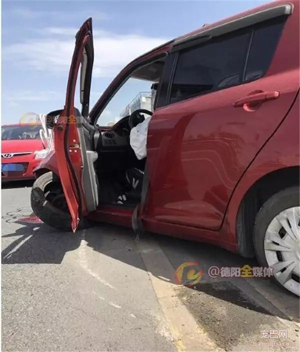 狗狗捣乱致车祸 德阳女司机后悔表示……-3.jpeg