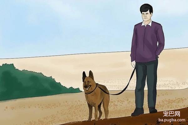 狗丢了怎么办？别问我，自己看-15.jpeg
