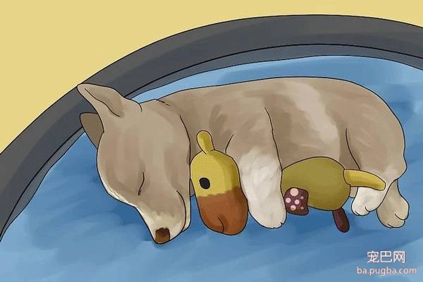 狗丢了怎么办？别问我，自己看-13.jpeg