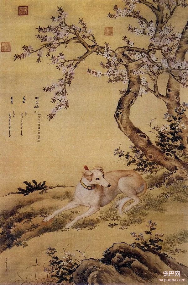 郎世宁笔下的乾隆10大爱犬，现“每只”价值千万！-2.jpeg