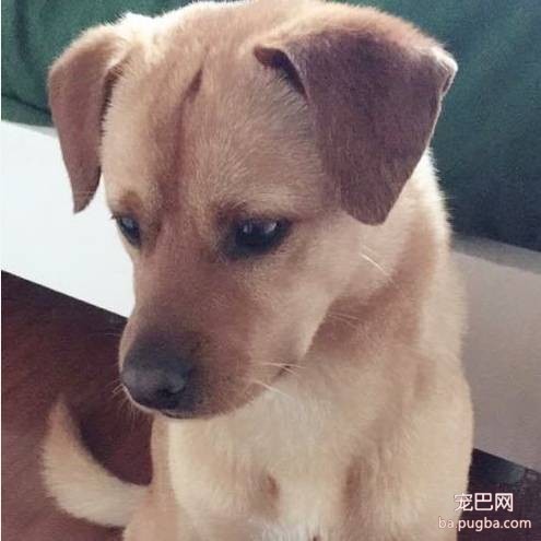 上海有爱吗？-5.jpeg