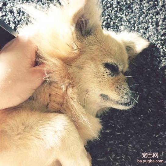 上海有爱吗？-7.jpeg