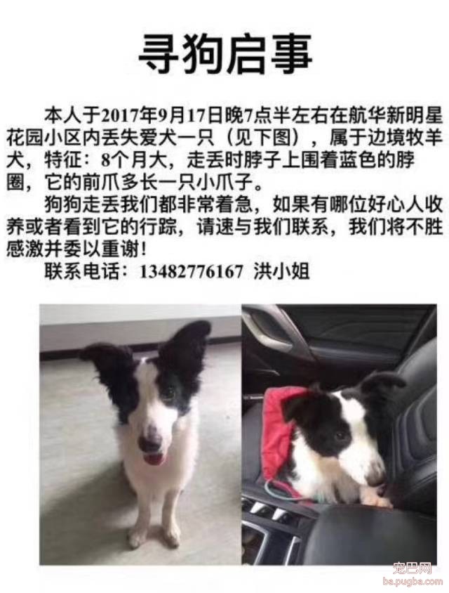 上海有爱吗？-22.jpeg
