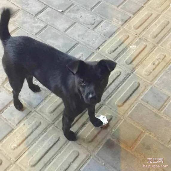 上海有爱吗？-26.jpeg