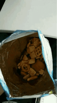 上海有爱吗？-31.gif