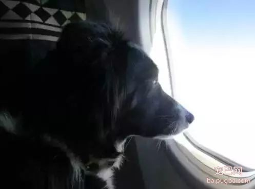 上海有爱吗？-33.jpeg