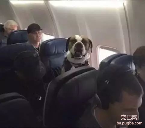 上海有爱吗？-37.jpeg