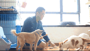 上海有爱吗？-38.gif