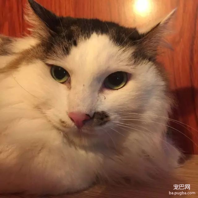 上海有爱吗？-50.jpeg