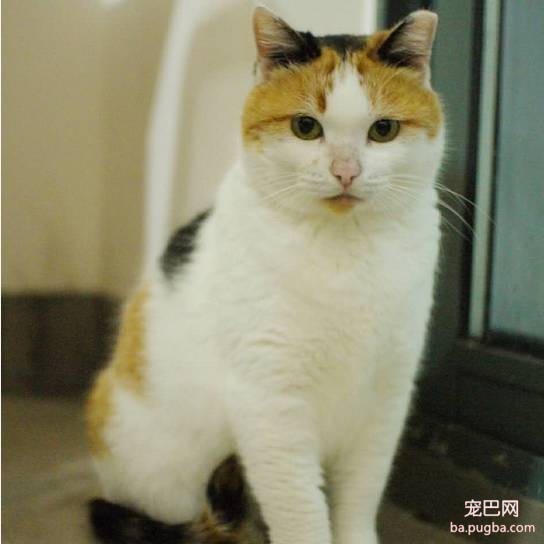 上海有爱吗？-62.jpeg