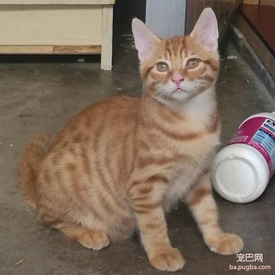 上海有爱吗？-65.jpeg
