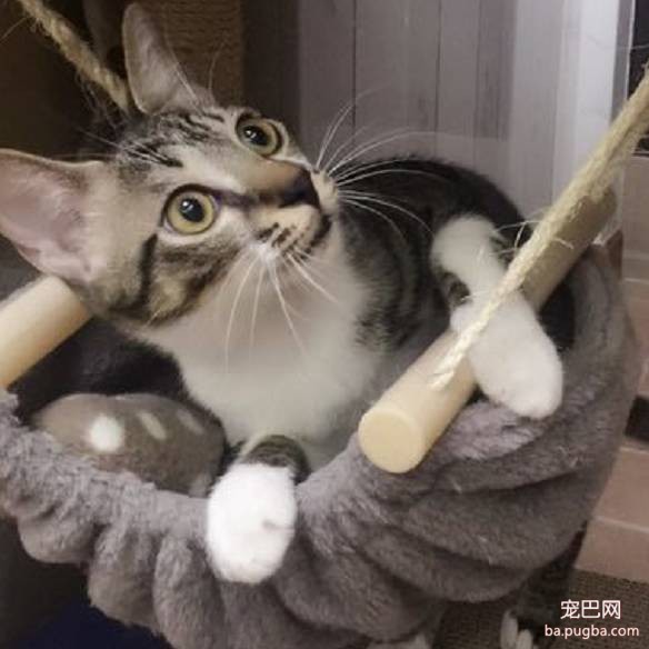 上海有爱吗？-67.jpeg
