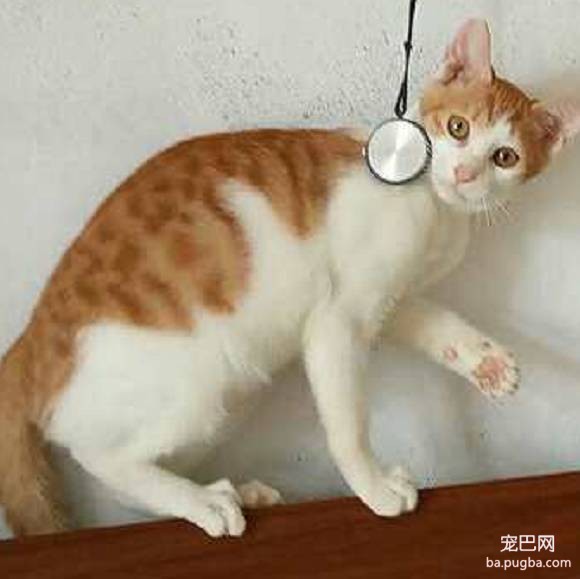 上海有爱吗？-72.jpeg