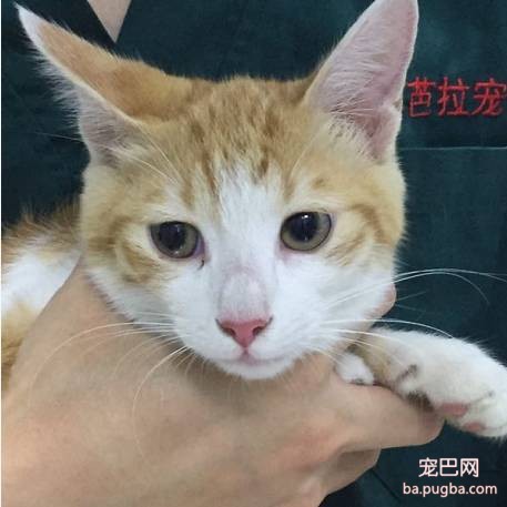 上海有爱吗？-82.jpeg