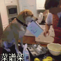 人类如果没有狗狗做朋友，世界将会怎么样？-1.gif
