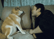 人类如果没有狗狗做朋友，世界将会怎么样？-4.gif