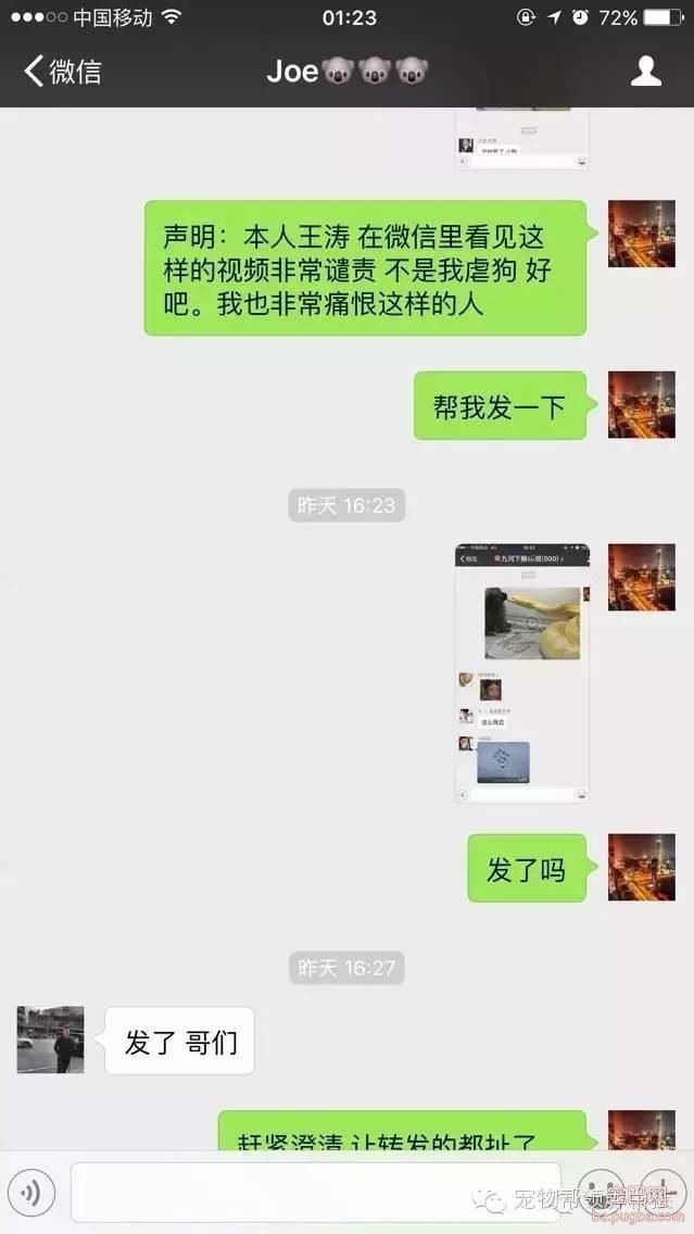 人渣：用宠物狗喂食黄金蟒蛇，残忍！太吓人胆小勿看-1.jpeg