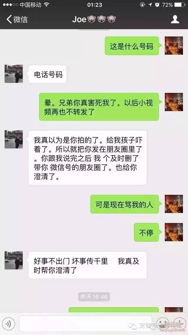 人渣：用宠物狗喂食黄金蟒蛇，残忍！太吓人胆小勿看-4.jpeg