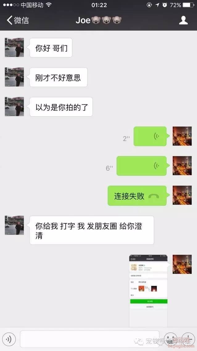 人渣：用宠物狗喂食黄金蟒蛇，残忍！太吓人胆小勿看-2.jpeg