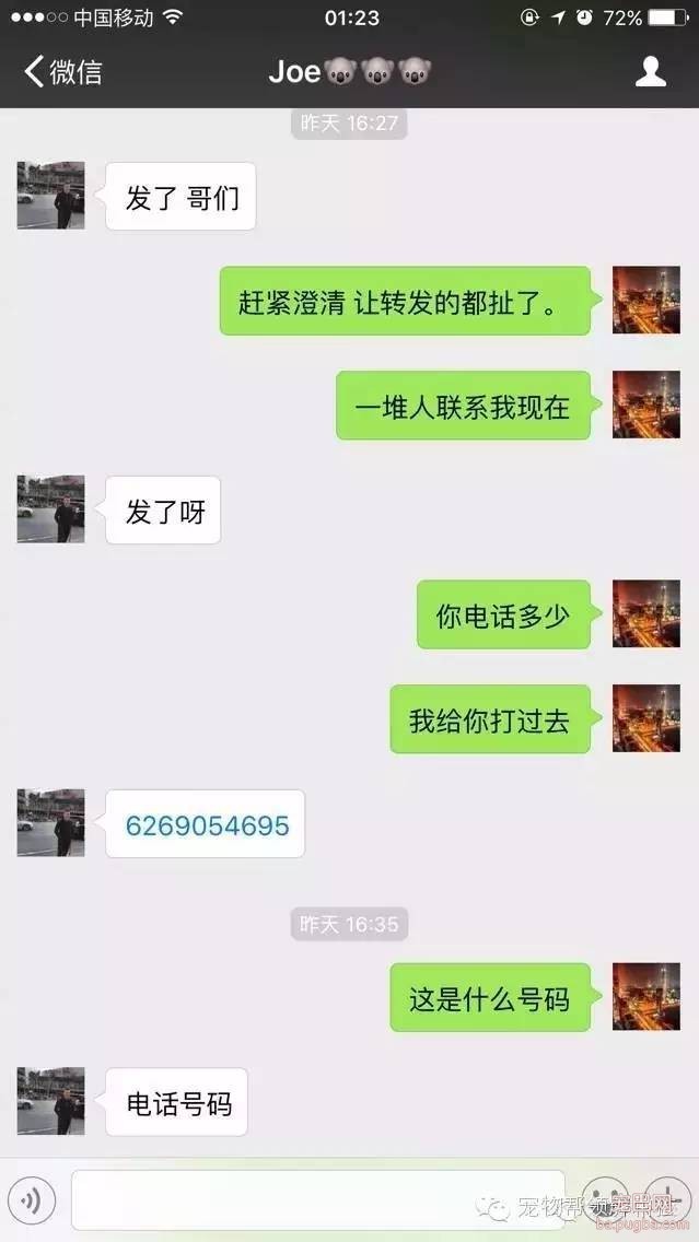 人渣：用宠物狗喂食黄金蟒蛇，残忍！太吓人胆小勿看-3.jpeg