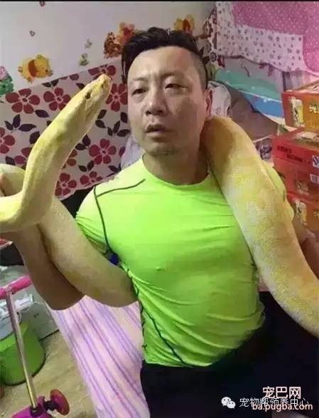 人渣：用宠物狗喂食黄金蟒蛇，残忍！太吓人胆小勿看-6.jpeg
