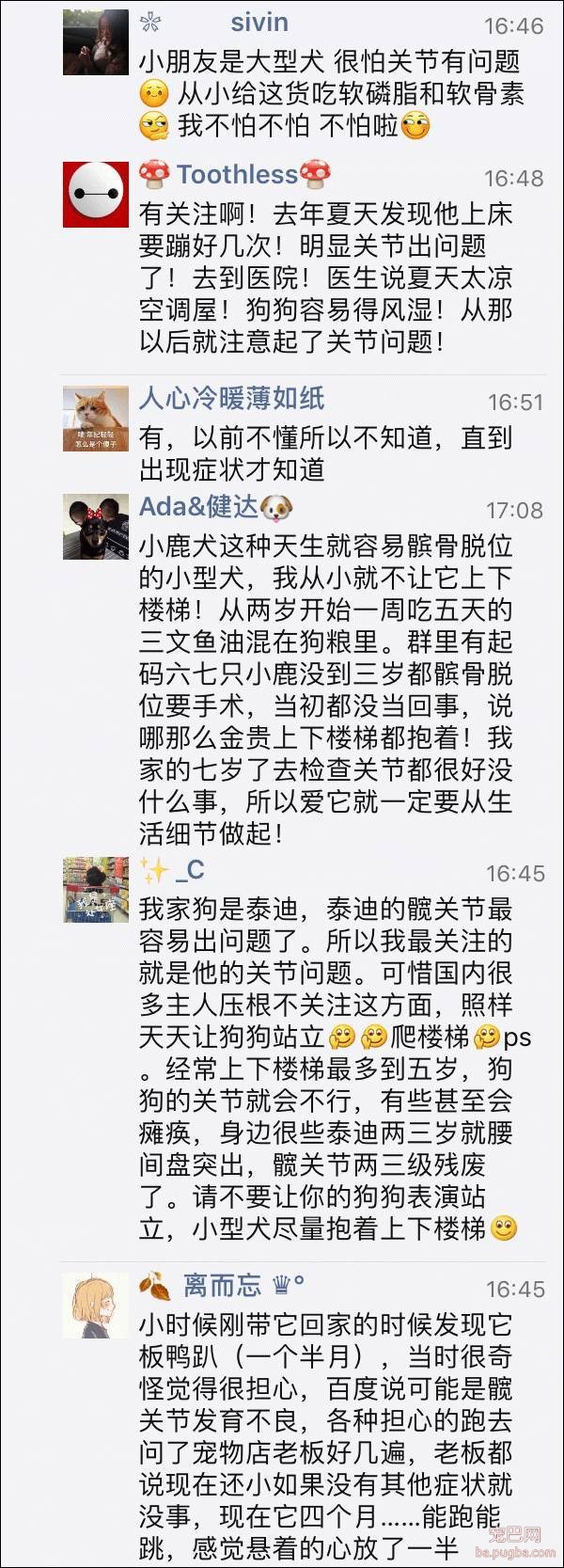 每5条中年犬就有1条患有关节炎，怕了吗？-2.jpeg