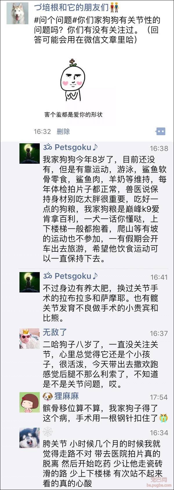 每5条中年犬就有1条患有关节炎，怕了吗？-1.jpeg
