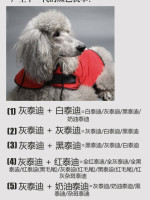 泰迪交配会生出什么颜色的宝宝？看了你就明白了-3.jpeg