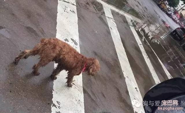 如果它在你的屋檐下躲雨，请不要驱赶...-7.jpeg