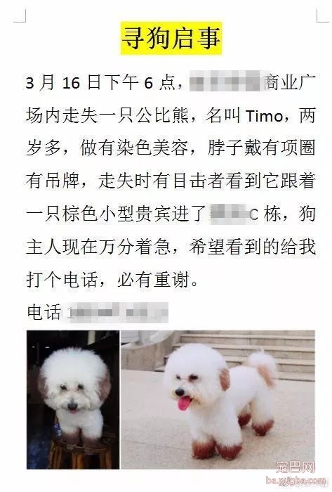 广西一女子捡到宠物狗，索要 4500 元，给不给？-1.jpeg