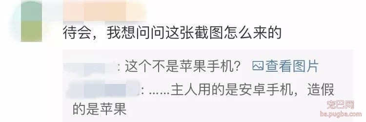 广西一女子捡到宠物狗，索要 4500 元，给不给？-7.jpeg