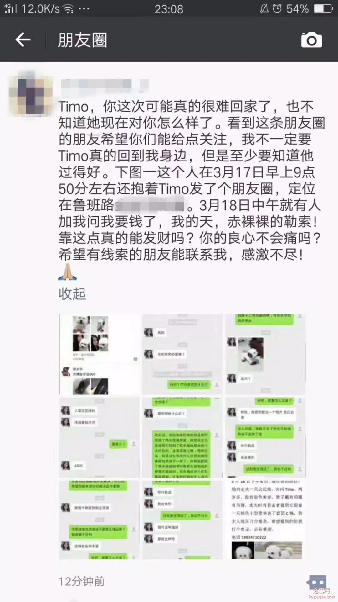 广西一女子捡到宠物狗，索要 4500 元，给不给？-2.jpeg