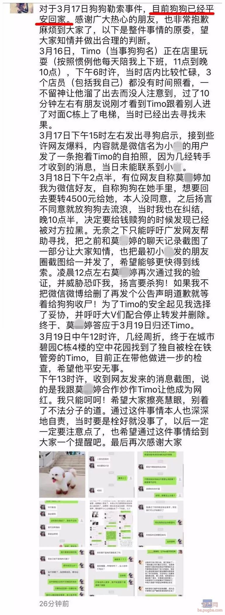 广西一女子捡到宠物狗，索要 4500 元，给不给？-10.jpeg