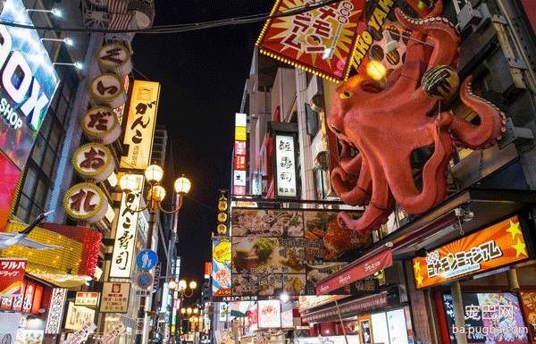 探秘日本宠物行业——6天5夜日本宠物行业考察、观赛、学习之旅-2.jpeg