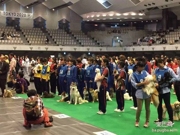 探秘日本宠物行业——6天5夜日本宠物行业考察、观赛、学习之旅-5.jpeg