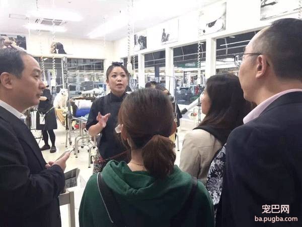 探秘日本宠物行业——6天5夜日本宠物行业考察、观赛、学习之旅-6.jpeg