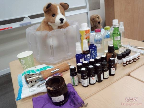 探秘日本宠物行业——6天5夜日本宠物行业考察、观赛、学习之旅-10.jpeg