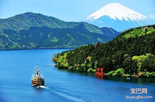 探秘日本宠物行业——6天5夜日本宠物行业考察、观赛、学习之旅-17.jpeg